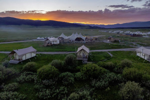 Under Canvas West Yellowstone | Room for Your Dog